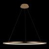 Светильник подвесной Loft It Ring 10014XL
