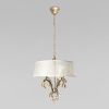 Светильник подвесной Loft It Hermitage 10305/B