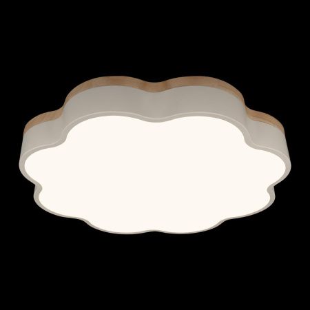 Светильник потолочный Loft It Axel 10225/36 White