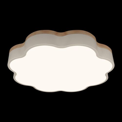 Светильник потолочный Loft It Axel 10225/36 White - фото 2