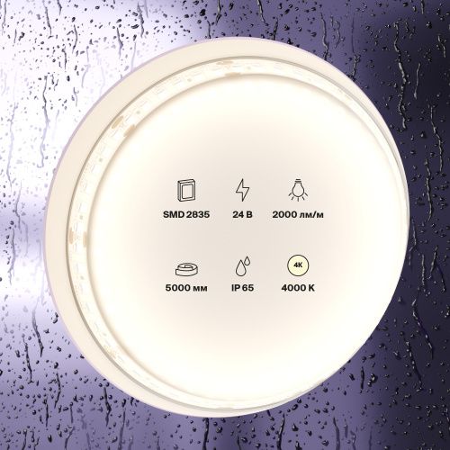 Светодиодная лента Maytoni Led Strip 10158 - фото 3