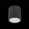 Светильник потолочный ST Luce Rene (Рене) ST113.442.05