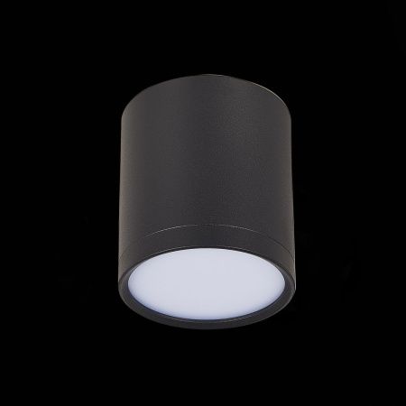 Светильник потолочный ST Luce Rene (Рене) ST113.442.05