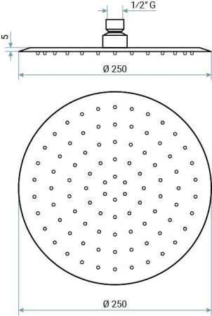 Душевая антикальцевая головка Emmevi C06650INmm250 цвет зачищенный никель