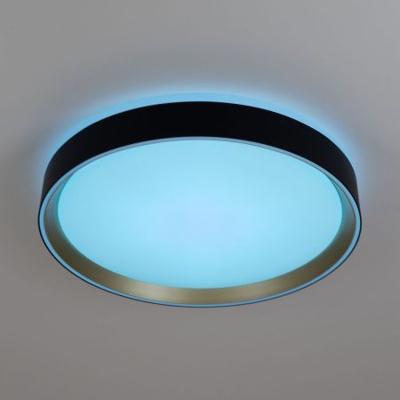 Светильник потолочный музыкальный Citilux Boss (Босс) CL751351G