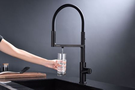 Смеситель для кухни Paulmark TORNADO To213402-AN на мойку черный