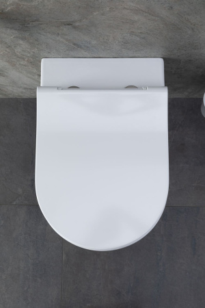 Чаша унитаза подвесная Allen Brau Priority 4.31001.20 цвет белый без сиденья безободковая каскадный смыв