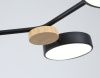 Люстра на штанге Ambrella Light LineTech (ЛинеТецх) FL4860