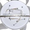 Люстра потолочная Natali Kovaltseva Olimp (Олимп) LED LAMPS 81212