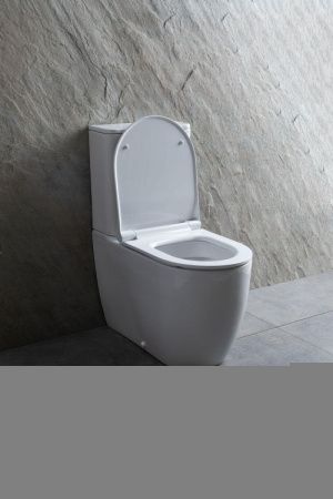 Чаша унитаза напольная Allen Brau Priority 4.31003.20 цвет белый без бачка с сиденьем микролифт безободковая каскадный смыв