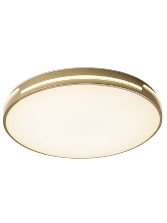 Светильник потолочный Zortes Gabby (Габбы) ZRS.90610.50