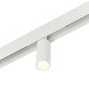Трековый магнитный светильник Myfar Ray (Раы) MT0220-7W4K-W