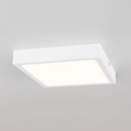 Светильник накладной Citilux Галс CL55K22N
