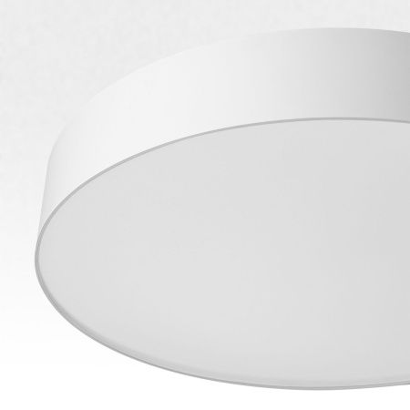 Светильник накладной Citilux Bart (Барт) CL755390