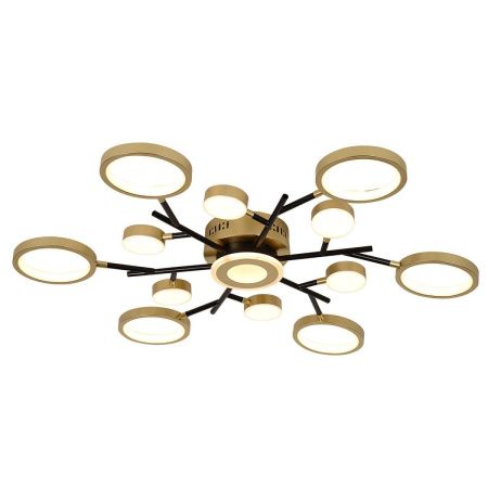 Светильник потолочный F-Promo Hybrid (Хыбрид) 4686-13C