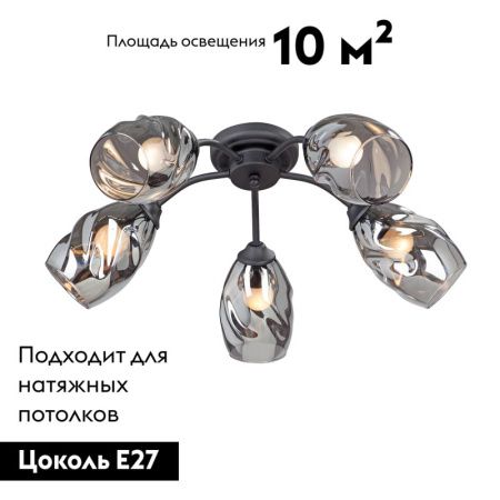 Люстра потолочная Vitaluce V4936-1 V4936-1/5PL