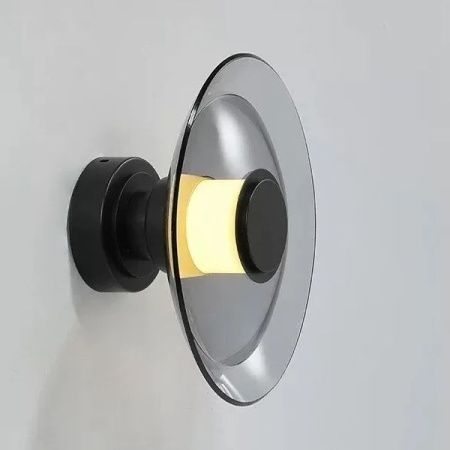 Светильник настенно-потолочный Delight Collection 8665W/L black/smoky