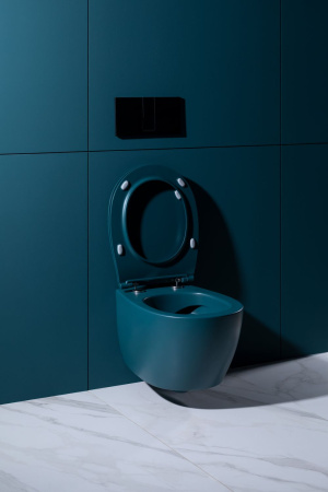 Чаша унитаза подвесная Allen Brau Fantasy 4.11004.PT цвет зеленый без сиденья безободковая каскадный смыв