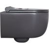 Чаша унитаза подвесная Allen Brau Priority 4.31002.AN цвет черный без сиденья безободковая каскадный смыв
