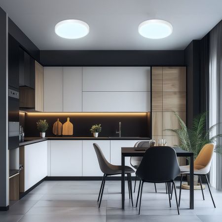 Светильник накладной Citilux Бейсик CL738240V