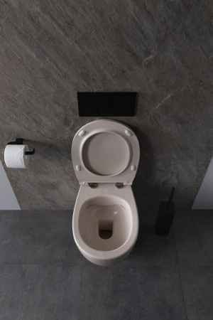 Чаша унитаза подвесная Allen Brau Fantasy 4.11004.IV цвет бежевый без сиденья безободковая каскадный смыв