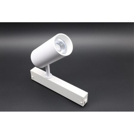 Трековый магнитный светильник Aployt Magnetic track 220 (Магнетиц трацк 220) APL.0205.10.20
