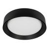 Светильник потолочный Loft It Coin 10202 BB