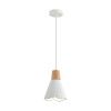 Светильник подвесной Lumion Eoliana (Еолиана) 8352/1B