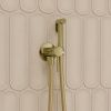 Гигиенический душ со смесителем Iddis Axes 005MGR0i08 золото