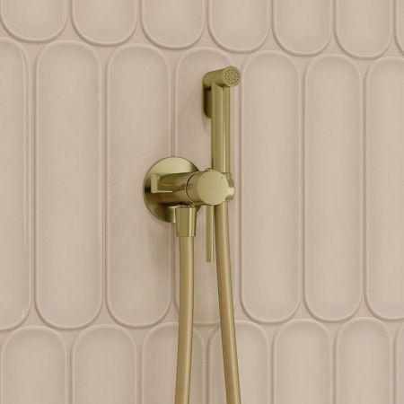 Гигиенический душ со смесителем Iddis Axes 005MGR0i08 золото