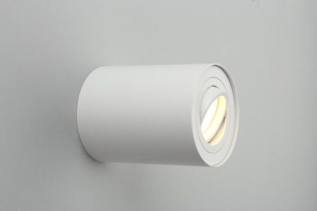 Настенно-потолочный светильник Omnilux Pantaleo (Панталео) OML-101009-01