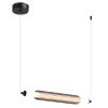 Светильник подвесной Lumion Trendy (Тренды) 6556/15L