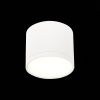 Светильник потолочный ST Luce Rene (Рене) ST113.542.09