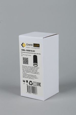 Настенно-потолочный светильник Omnilux Olona (Олона) OML-100819-01