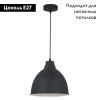 Светильник подвесной Arte Lamp Braccio (Браццио) A2055SP-1BK