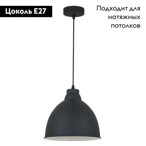 Светильник подвесной Arte Lamp Braccio (Браццио) A2055SP-1BK - фото 2