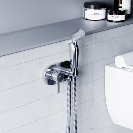 Гигиенический душ со смесителем Damixa Option 212000000 хром