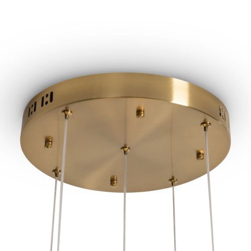 Светильник подвесной Freya Flower Modern FR5579PL-L40BS - фото 5