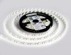 Светодиодная лента Ambrella Light LED Strip 12V (ЛЕД Стрип 12В) GS1103