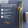 Гигиенический душ со смесителем RGW Shower Panels (Шоувер панелс) 581408211-06 золото