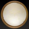 Светильник накладной Toplight Jane (Джане) TL9640Y-00OA
