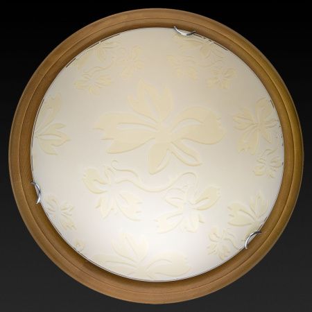 Светильник накладной Toplight Jane (Джане) TL9640Y-00OA