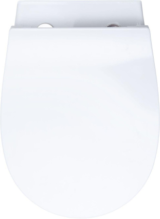 Чаша унитаза подвесная Allen Brau Fantasy 4.11004.20 цвет белый без сиденья безободковая каскадный смыв