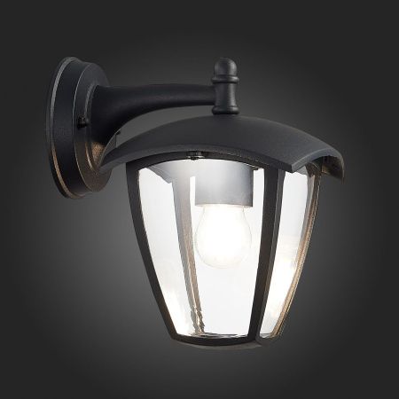 Уличный настенный светильник ST Luce Sivino (Сивино) SL081.411.01