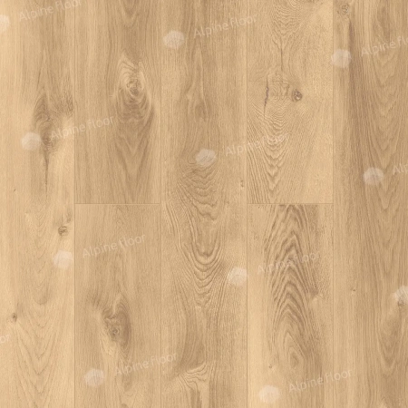SPC ламинат Alpine Floor Premium XL ECO 7-6 MC Дуб Природный Изысканный толщина 0.8 см 43 класс 1524х180