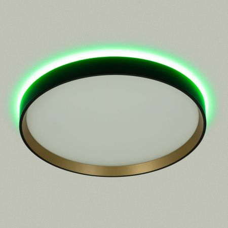 Светильник потолочный музыкальный Citilux Etalon (Еталон) CL750321R