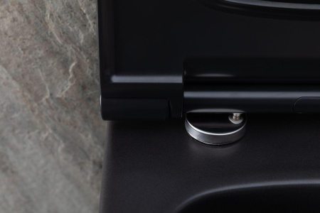 Чаша унитаза подвесная Allen Brau Priority 4.31001.31 цвет черный матовый без сиденья безободковая каскадный смыв