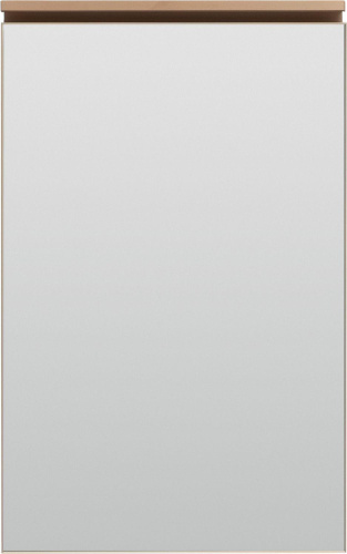 Зеркало-шкаф De Aqua Алюминиум 00261763 50х14х77 подвесной - фото 4 Зеркало-шкаф De Aqua Алюминиум 00261763 50х14х77 подвесной - фото 4