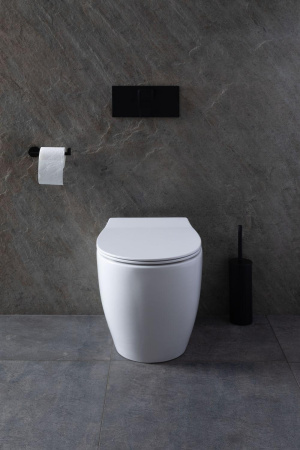 Унитаз приставной Allen Brau Fantasy 4.11007.20 белый с сиденьем микролифт безободковый каскадный смыв