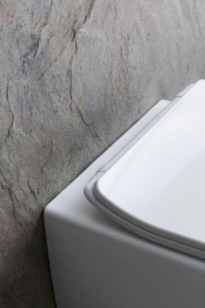 Чаша унитаза подвесная Allen Brau Liberty 4.33007.21 цвет белый без сиденья безободковая каскадный смыв